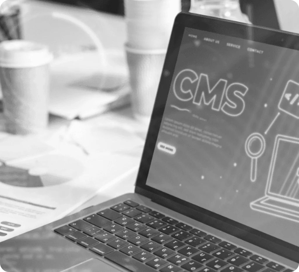 Headless CMS 7